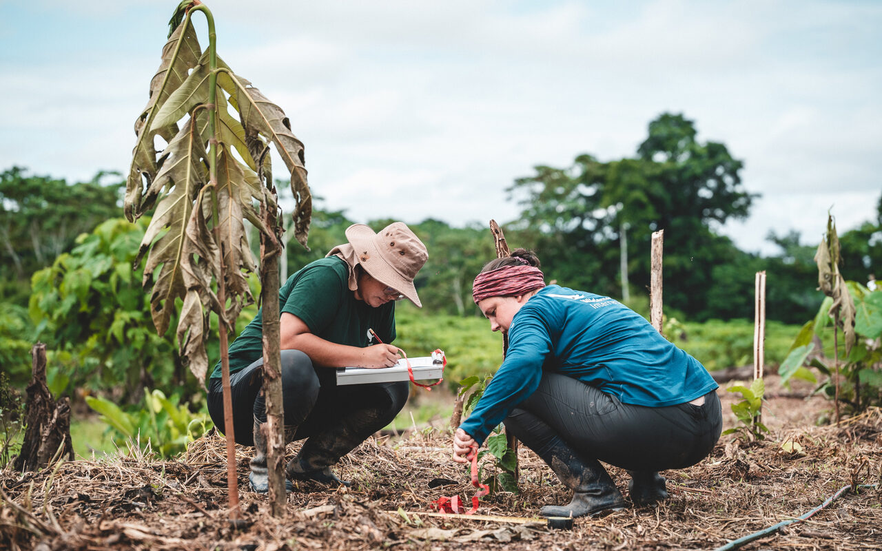 Lokale Projektgruppe im Agroforstprojekt