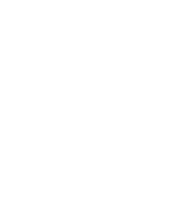 Illustration: Setzling