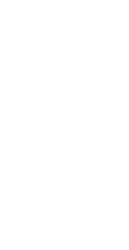 Illustration: Baum